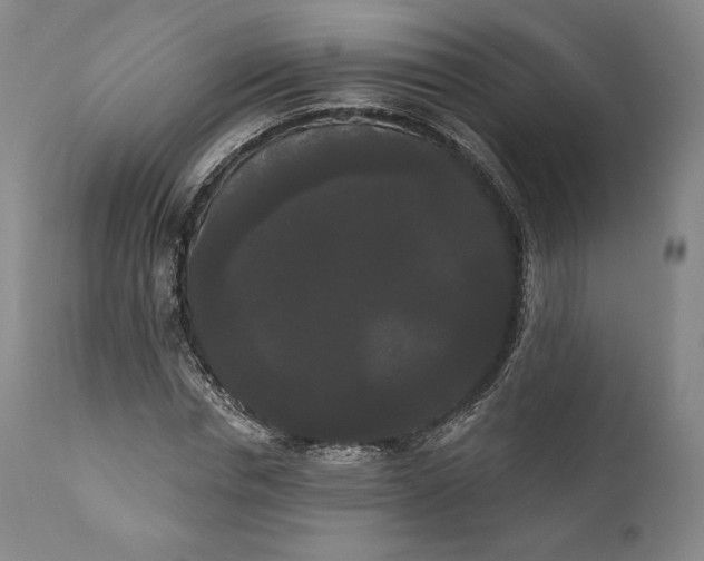 X0000111020826200907101338