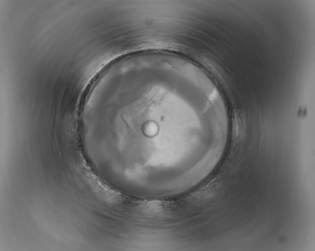 X0000111020828200907101338