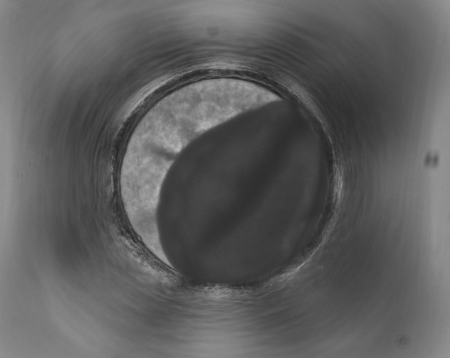 X0000111020829200907101338