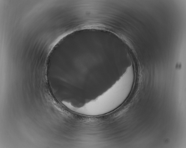 X0000111020830200907101338