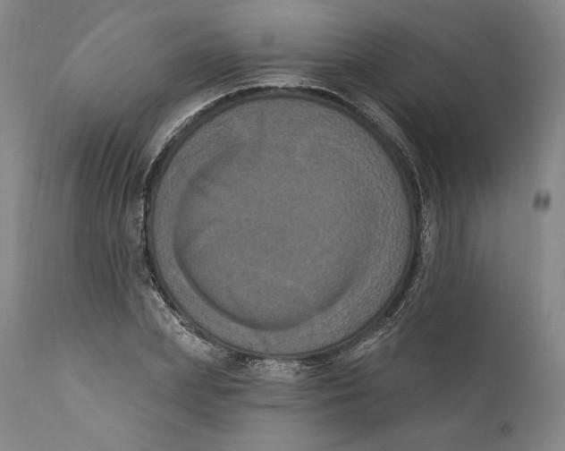 X0000111020831200907101338