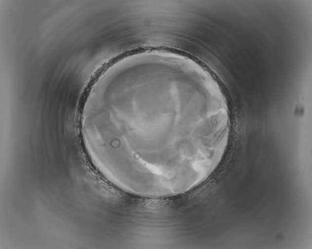 X0000111020832200907101338