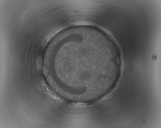 X0000111020833200907101338
