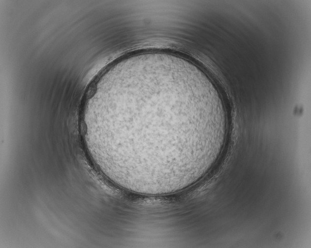 X0000111020834200907101338