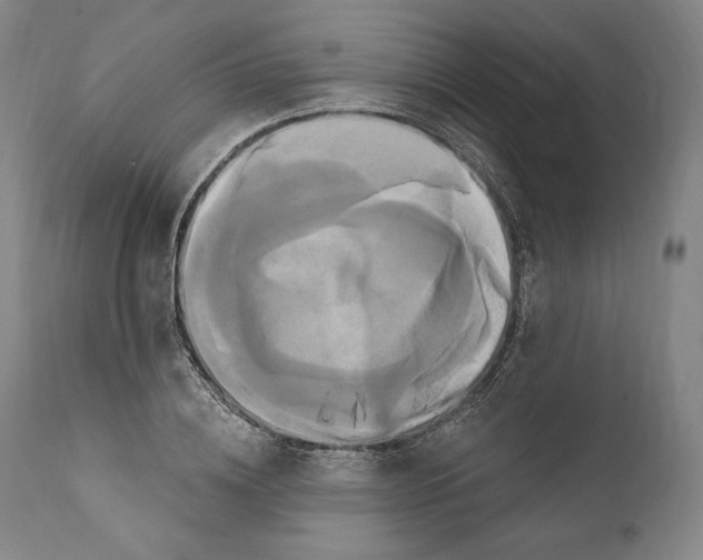 X0000111020836200907101338