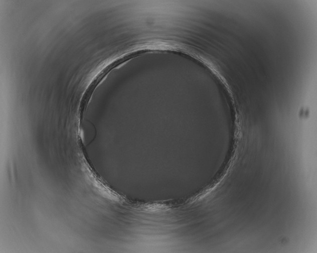 X0000111020837200907101338