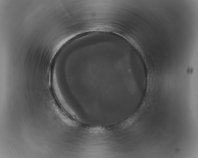 X0000111020838200907101338