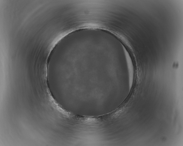 X0000111020839200907101338