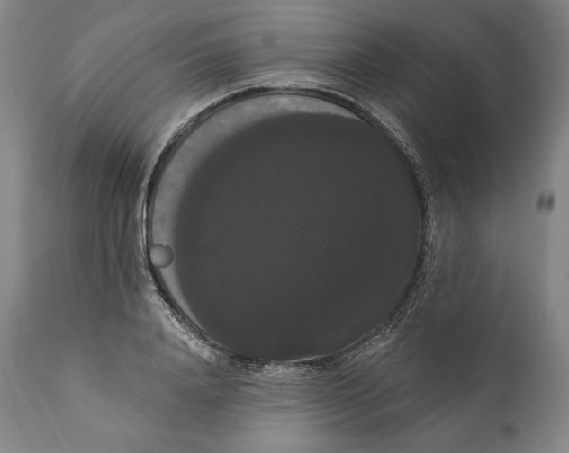 X0000111020840200907101338