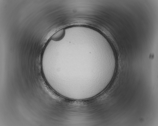 X0000111020842200907101338