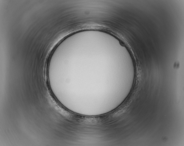 X0000111020843200907101338