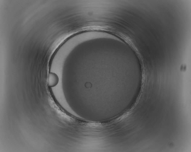 X0000111020844200907101338