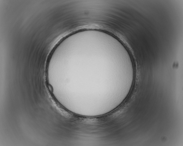 X0000111020845200907101338