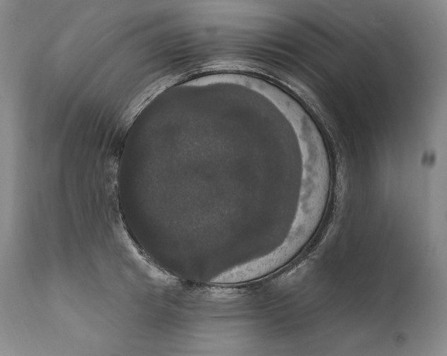 X0000111020849200907101338