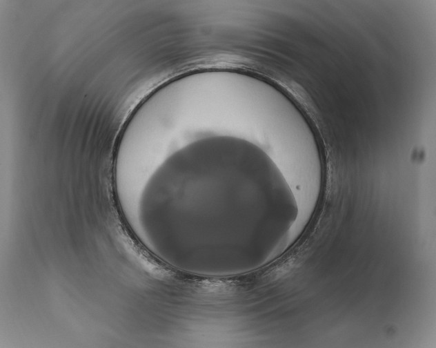 X0000111020850200907101338