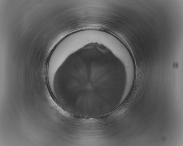 X0000111020851200907101338