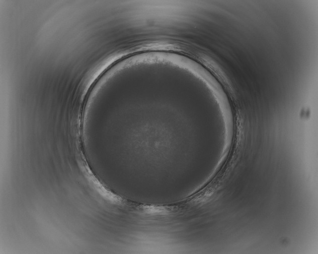 X0000111020852200907101338