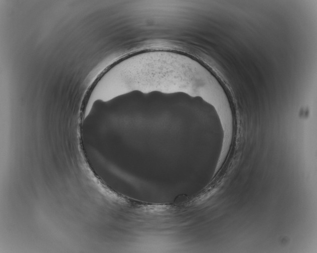 X0000111020853200907101338
