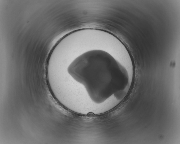 X0000111020854200907101338