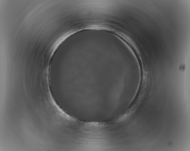 X0000111020855200907101338
