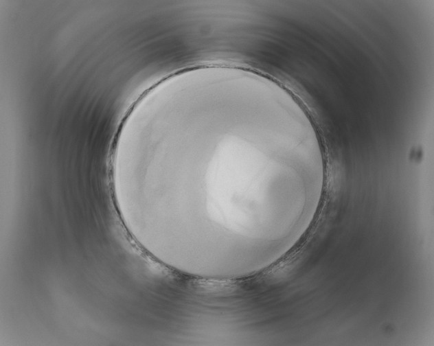 X0000111020856200907101338