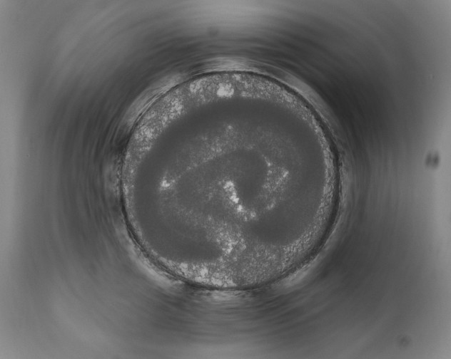 X0000111020857200907101338
