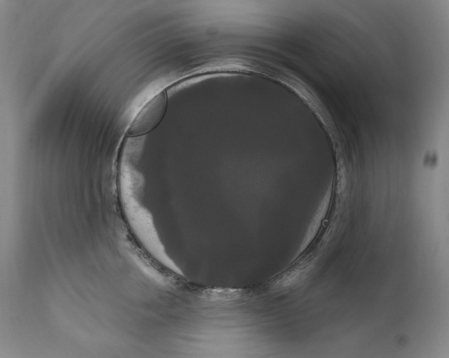 X0000111020858200907101338
