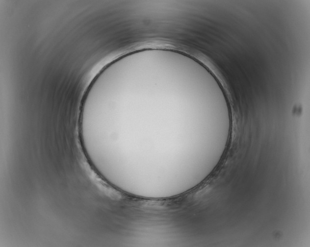 X0000111020861200907101338