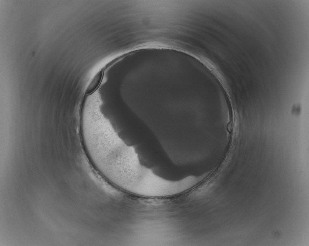 X0000111020862200907101338