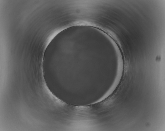 X0000111020863200907101338