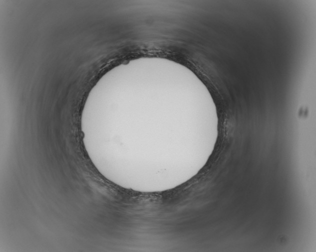 X0000111020865200907101337