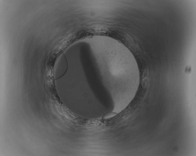 X0000111020866200907101337