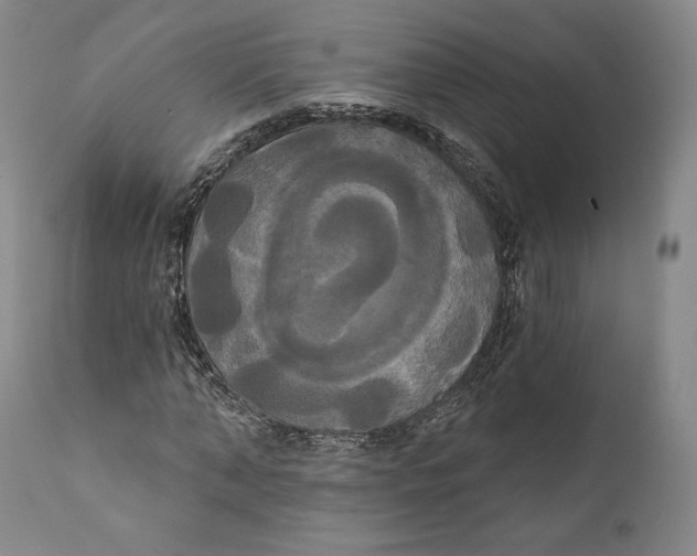 X0000111020870200907101337