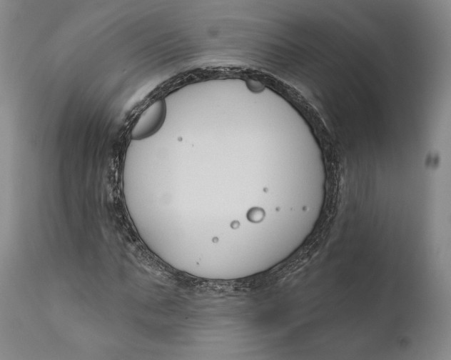 X0000111020871200907101337