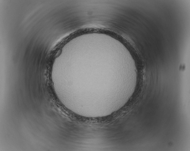 X0000111020872200907101337