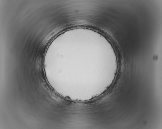 X0000111020873200907101337