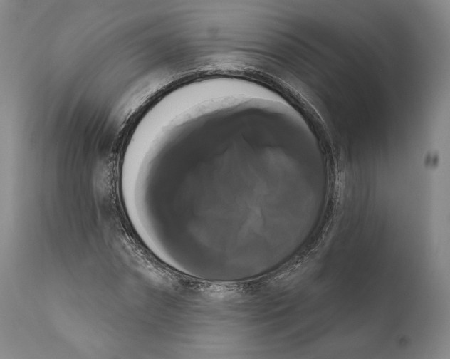 X0000111020874200907101337