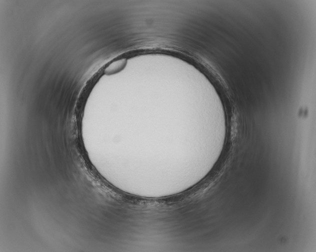 X0000111020876200907101337