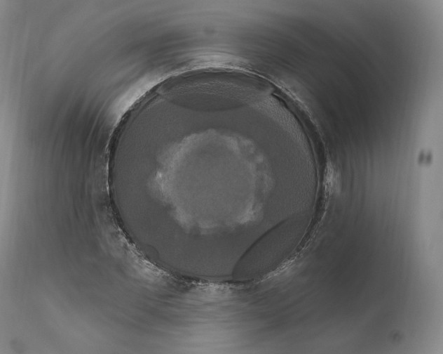 X0000111020877200907101337