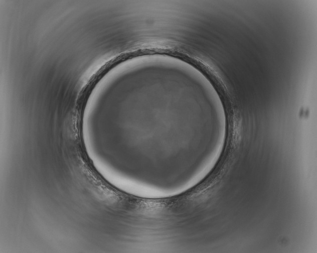 X0000111020878200907101337