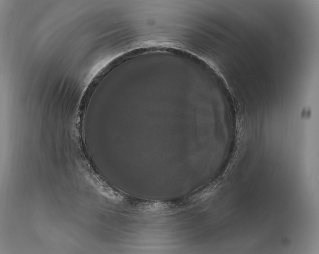 X0000111020879200907101337
