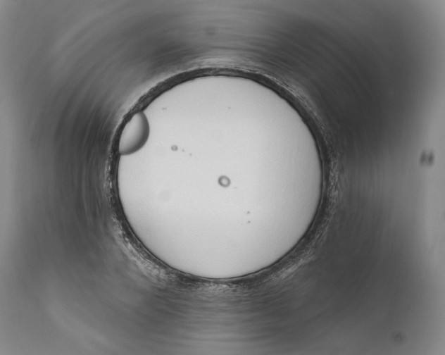 X0000111020880200907101337