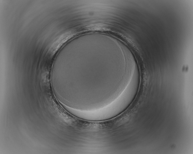 X0000111020881200907101337