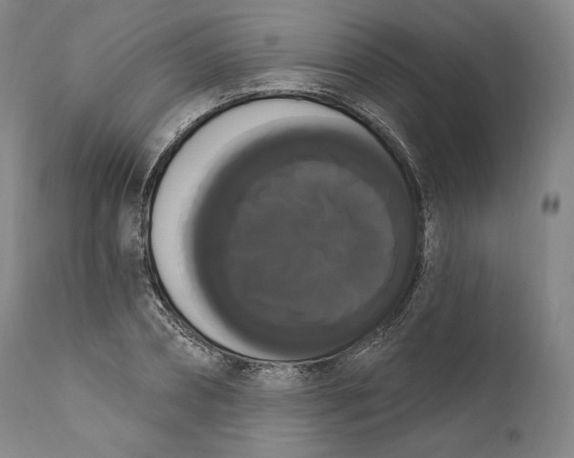 X0000111020882200907101337