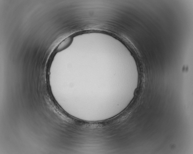 X0000111020884200907101337
