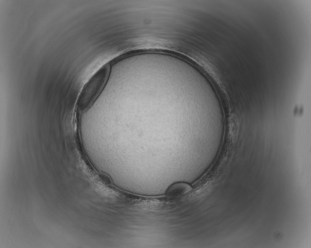 X0000111020885200907101337