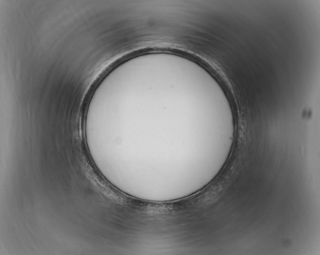 X0000111020887200907101337