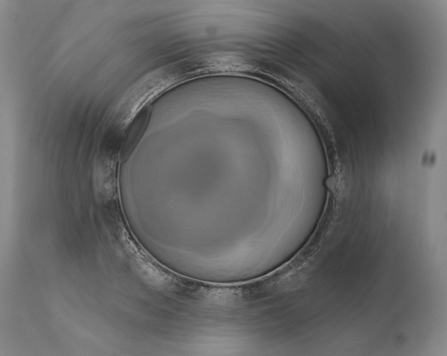 X0000111020889200907101337