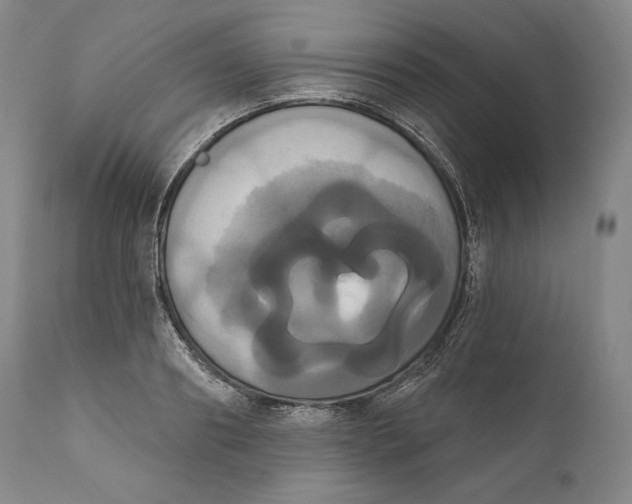 X0000111020890200907101337