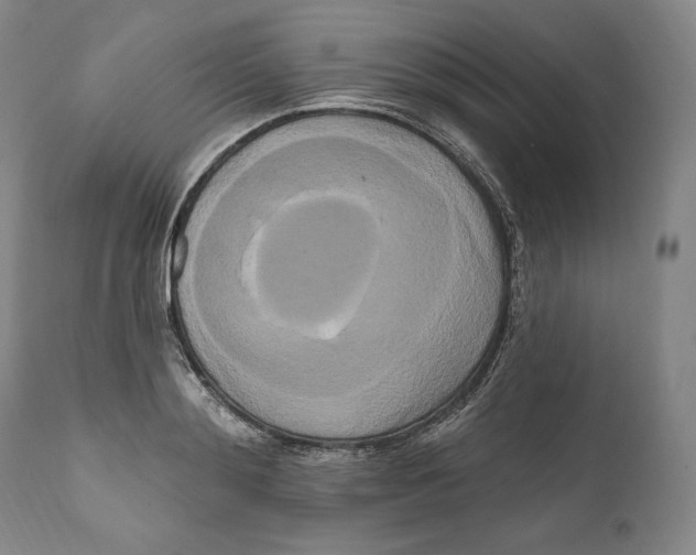 X0000111020892200907101337